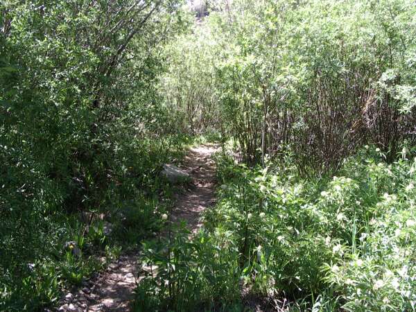 Oasis Along the Trail