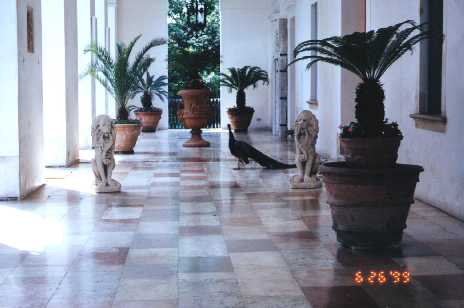 Peacock Mansion